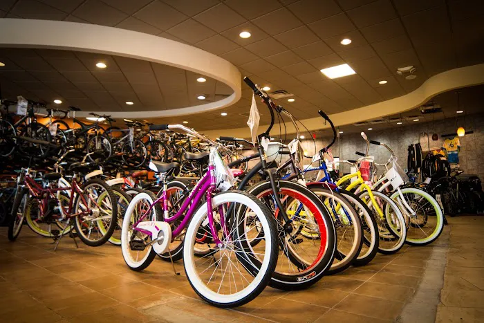 Wheelies Bicycles Sales and Service Picture 5
