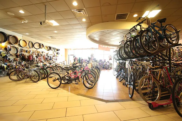 Wheelies Bicycles Sales and Service Picture 7