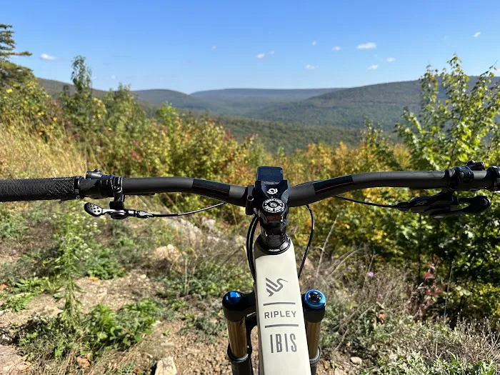 Leed's Cyclery Picture 7
