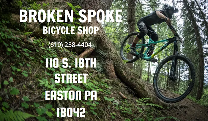 Broken Spoke Bike Shop Picture 2