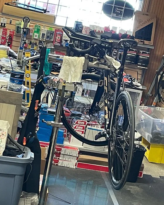 DNA BIKES LLC Picture 3