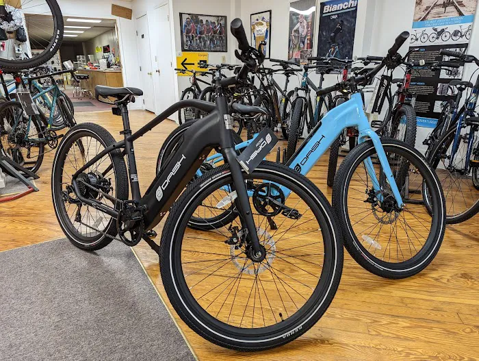 Deluxx Bikes Picture 2