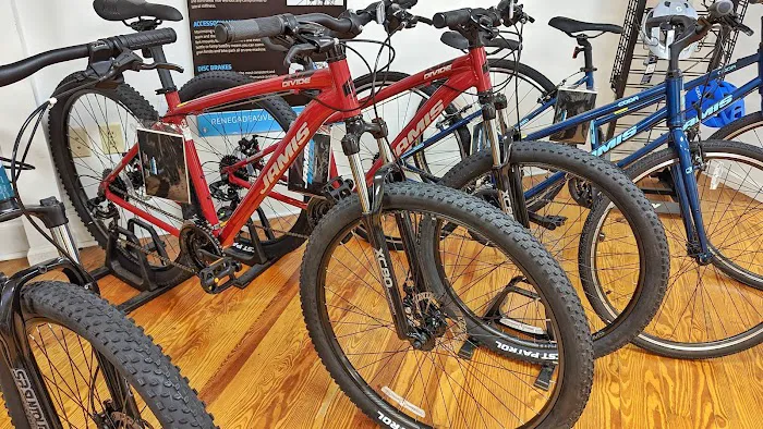 Deluxx Bikes Picture 5