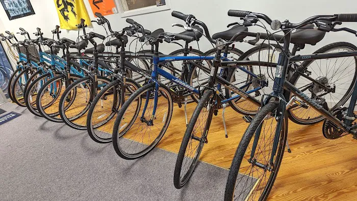 Deluxx Bikes Picture 4