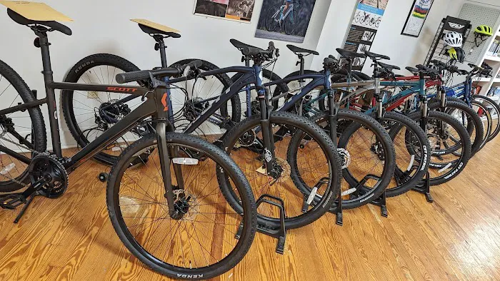 Deluxx Bikes Picture 6