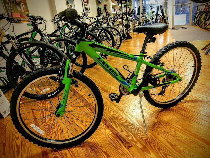 Deluxx Bikes Picture 10