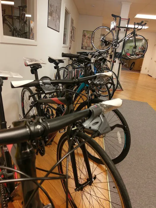 Deluxx Bikes Picture 9