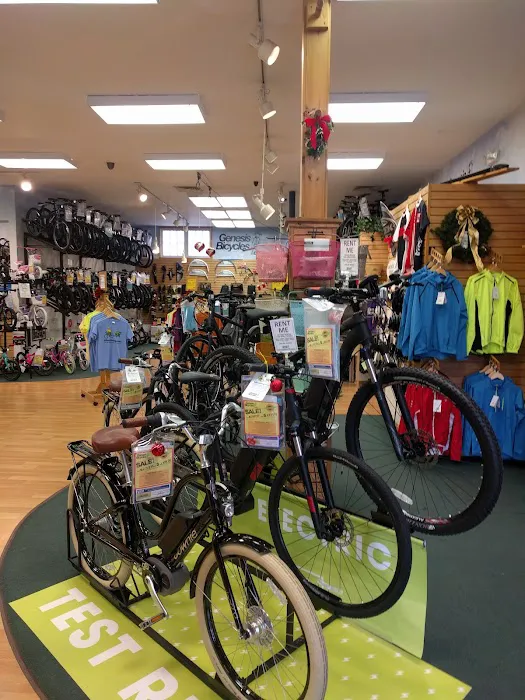 Trek Bicycle Easton Picture 2