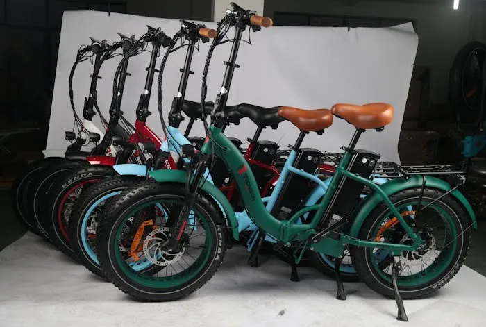 Bronson EBikes & Trikes Picture 3