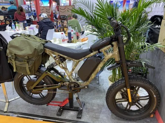Bronson EBikes & Trikes Picture 5