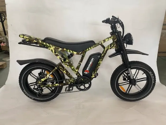Bronson EBikes & Trikes Picture 10