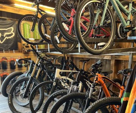 Speakeasy Bikes