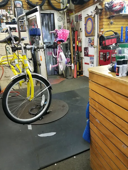 Economy bike shop Picture 4