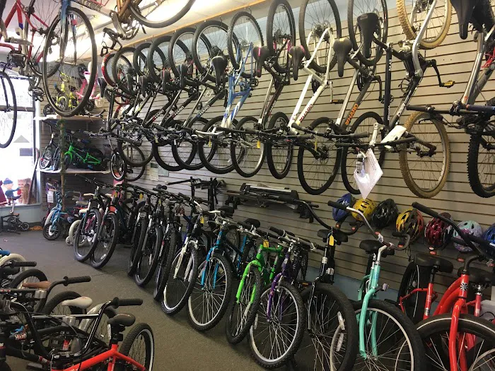 Economy bike shop Picture 2