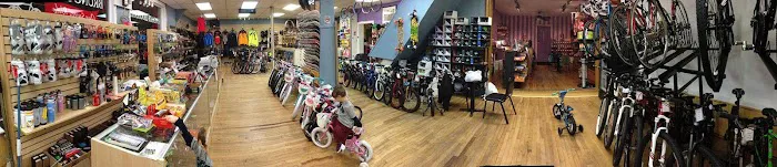 Bruno's Bicycles Picture 7