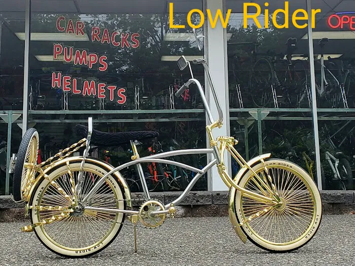 Bicycle Rack Picture 2
