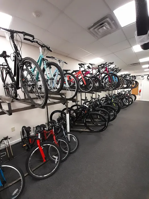 Pops Bike Shop Picture 1