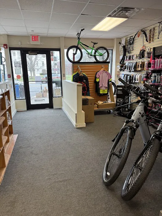 Pops Bike Shop Picture 5