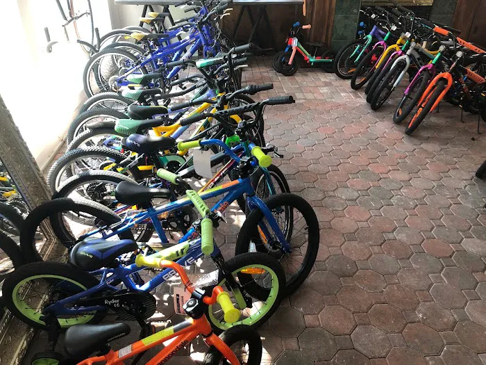 Just Riding Along Bicycle Shop Picture 5