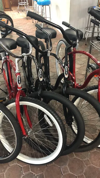 Just Riding Along Bicycle Shop Picture 7