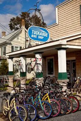 Tuckahoe Bike Shop Picture 3
