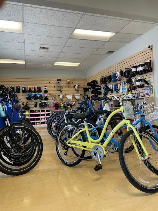 Tuckahoe Bike Shop Northfield Picture 3