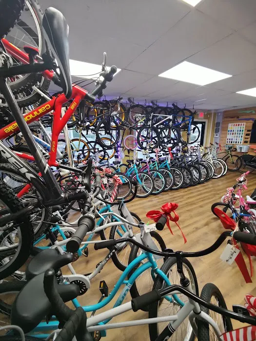 Somers Point Cycles Picture 6