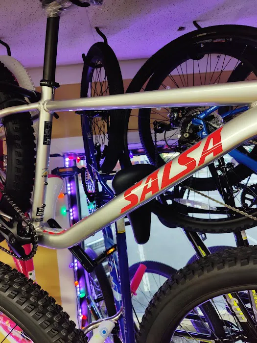 Somers Point Cycles Picture 5