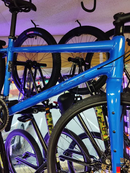 Somers Point Cycles Picture 4