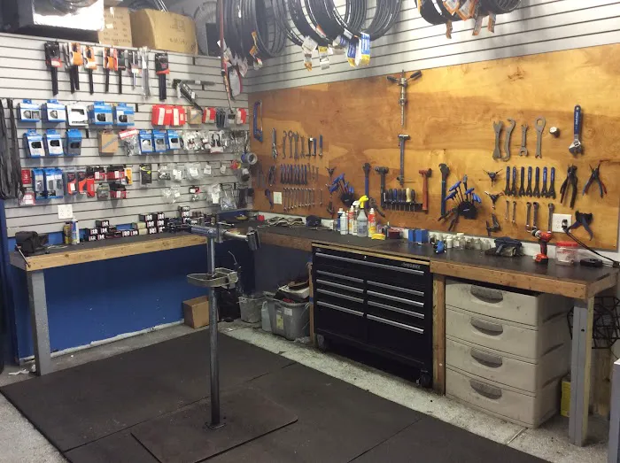 Tuckahoe Bike Shop - Ocean City Picture 7