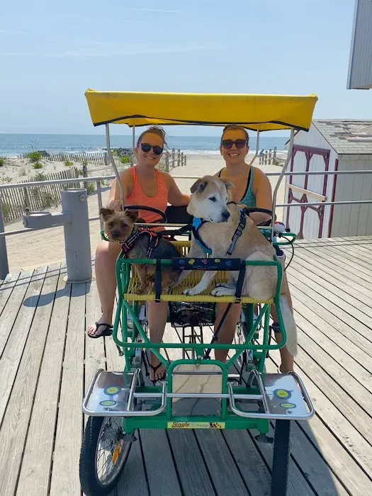 Ocean City Bicycle Center Picture 9