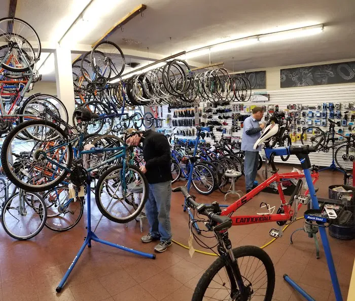 Pedal Pusher Picture 1