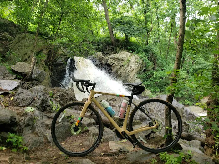 Pedal Pusher Picture 4