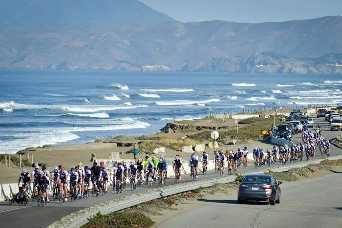 Pedal Pusher Picture 8