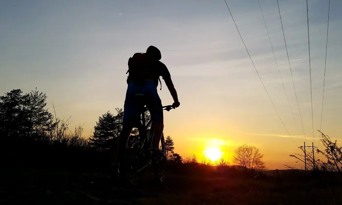 Peterson's Ski & Cycle Picture 3