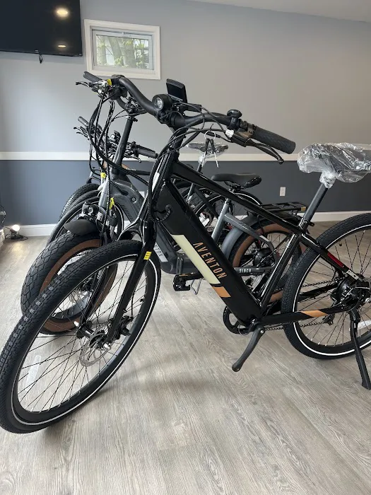 Pocono eRide bike shop eRide Velotric Aventon Segway RIF Picture 2