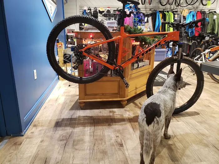 Pocono Bike Company Picture 2