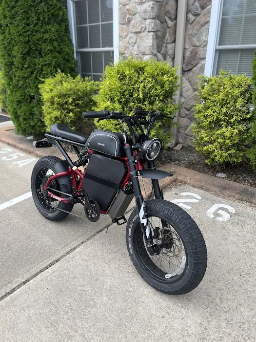 E-Street Bikes Picture 3