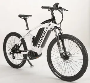 E-Street Bikes Picture 6