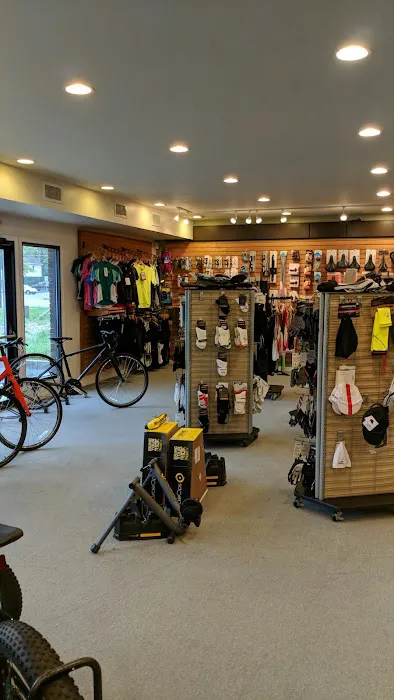 Joyful Cycle & Fitness Picture 2