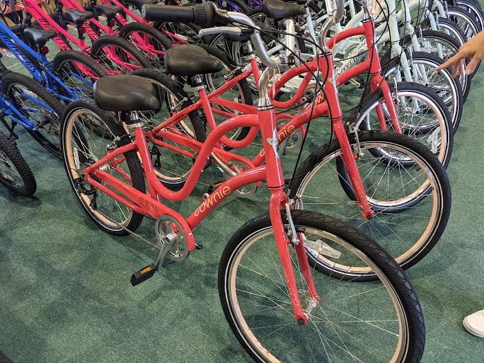 Jay's Cycle Center Picture 4