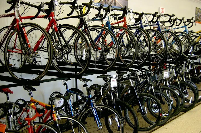Planet Bike Picture 8