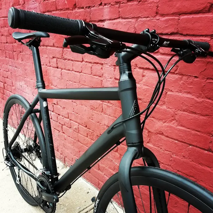 The Bike Lane Picture 8