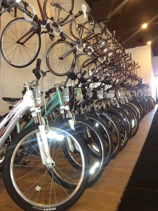 Hilltop Bicycles New Jersey - Cranford Picture 2