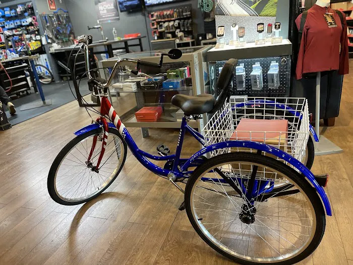 Hilltop Bicycles New Jersey - Cranford Picture 8
