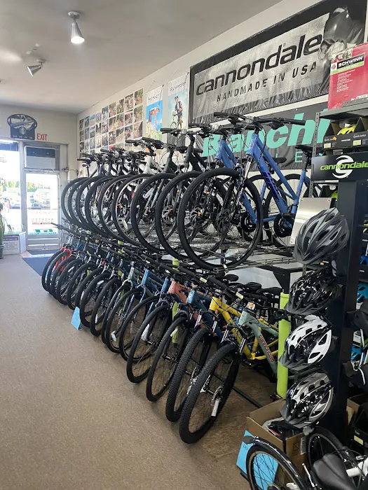 New Jersey Cycles Picture 8