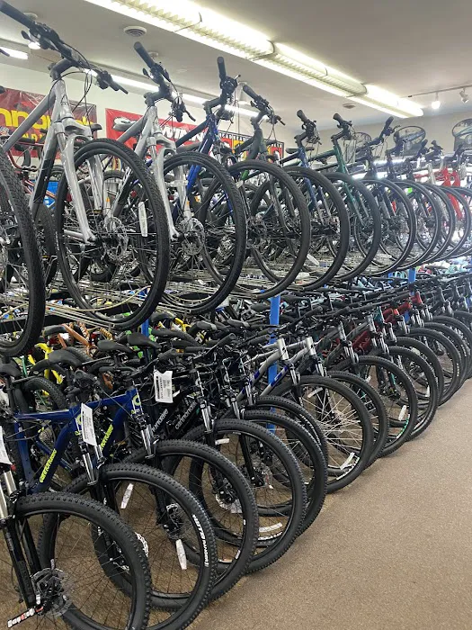 New Jersey Cycles Picture 6