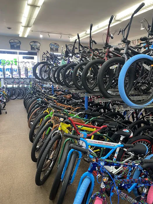 New Jersey Cycles Picture 10