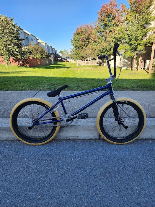 SC Action Sports Bicycle Shop Picture 4