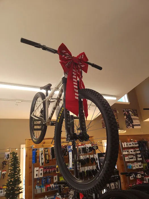 Marty's Reliable Cycle of Randolph Picture 3